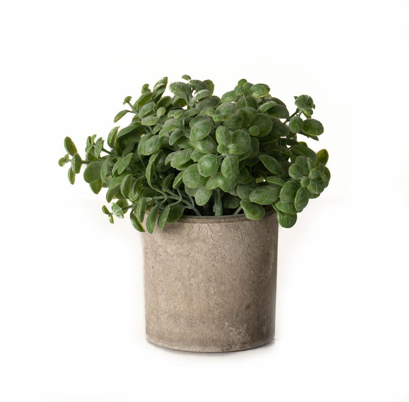 Faux Basil Plant In Pot