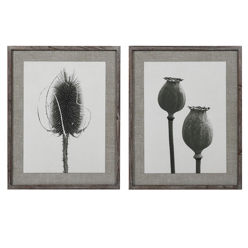 Set of 2 Teasel & Poppy Prints