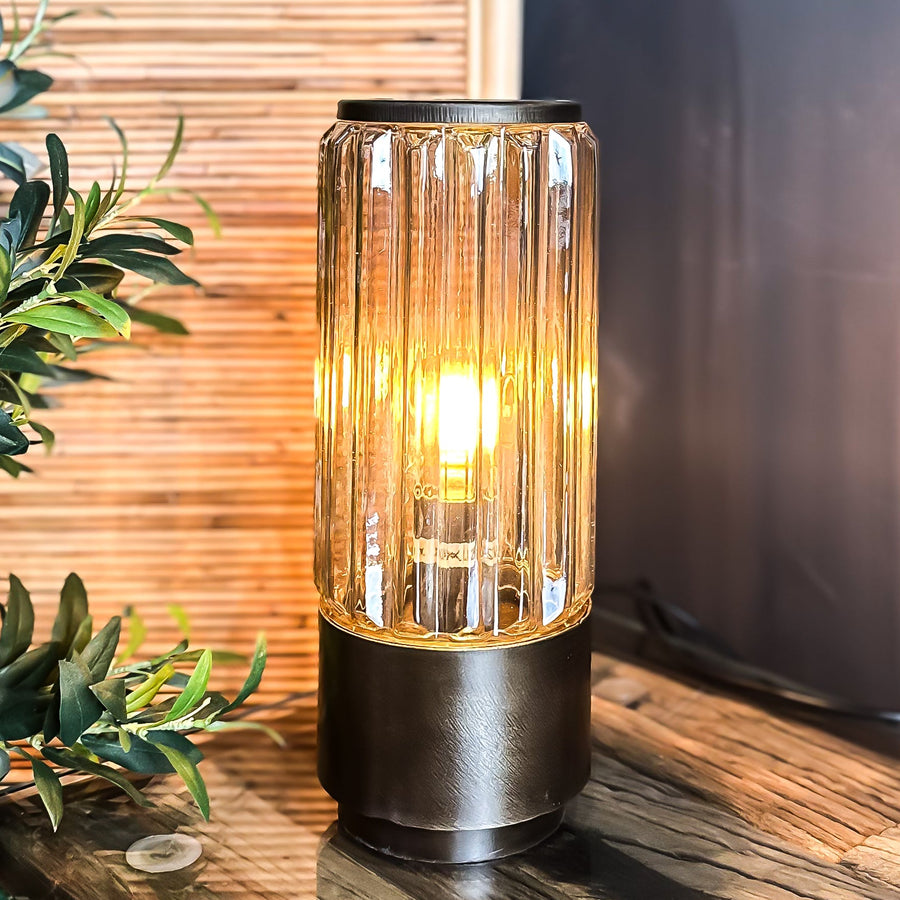 Staff Top Picks – Zoohause