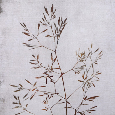 S/2 Grey Autumnal Trees Canvas'