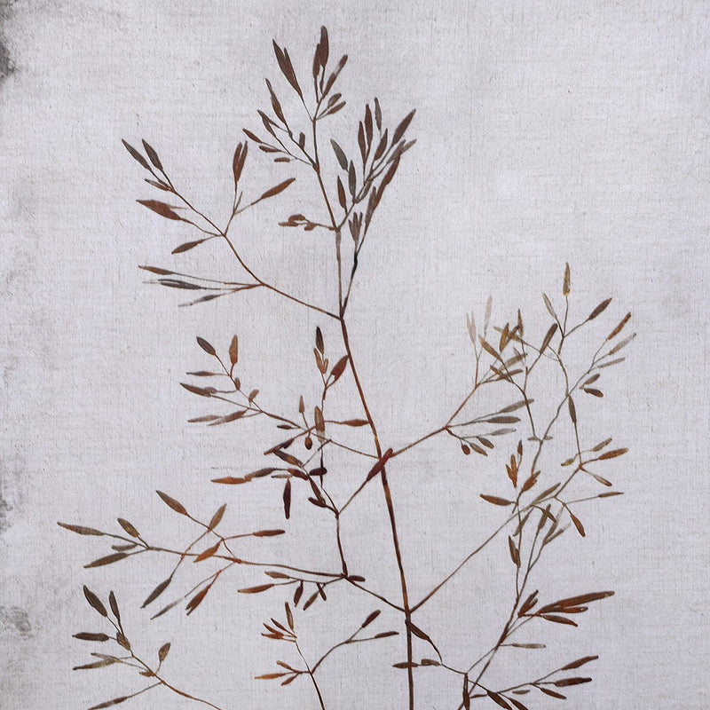 S/2 Grey Autumnal Trees Canvas&