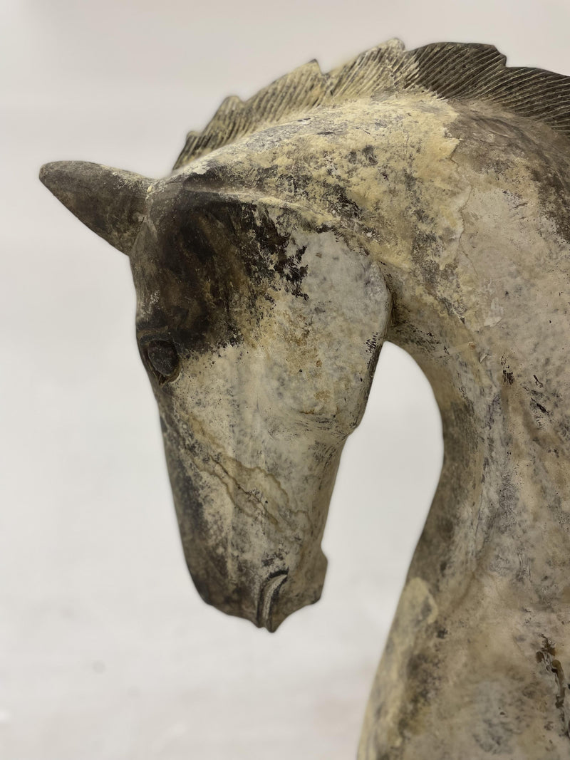 Paloma Horse- XL