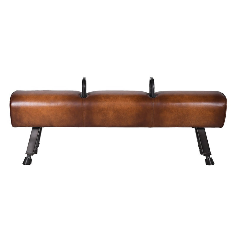 Brown Leather Pommel Horse