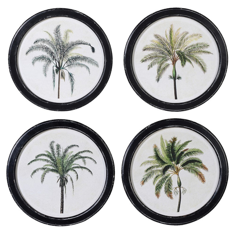 S/4 Round Palm Pictures