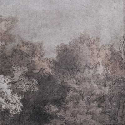 Black & White Woodland Landscape Picture