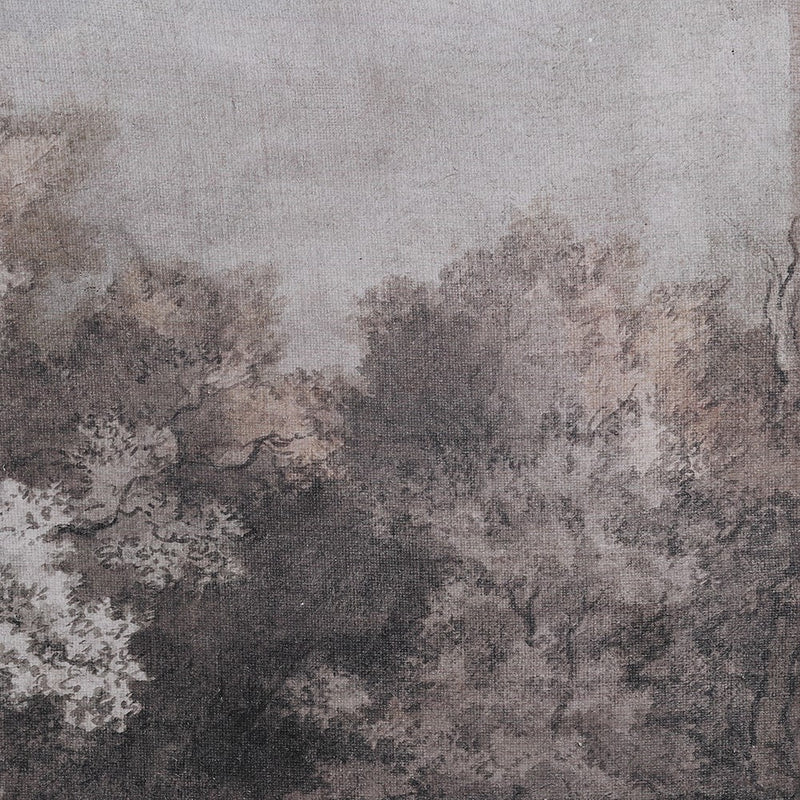 Black & White Woodland Landscape Picture