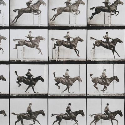 'The Jump' Cinematograph Horse Print