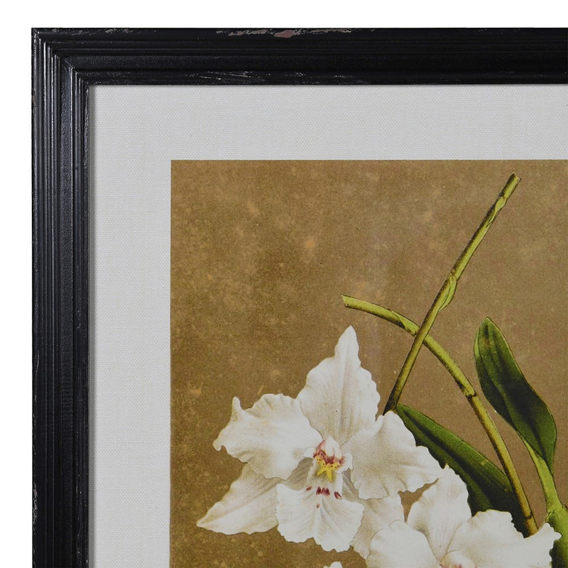 Set of 4 White Flowers Wall Art