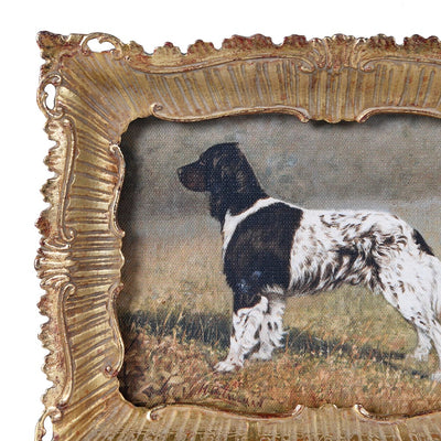 Spaniel Picture In Ornate Gold Frame