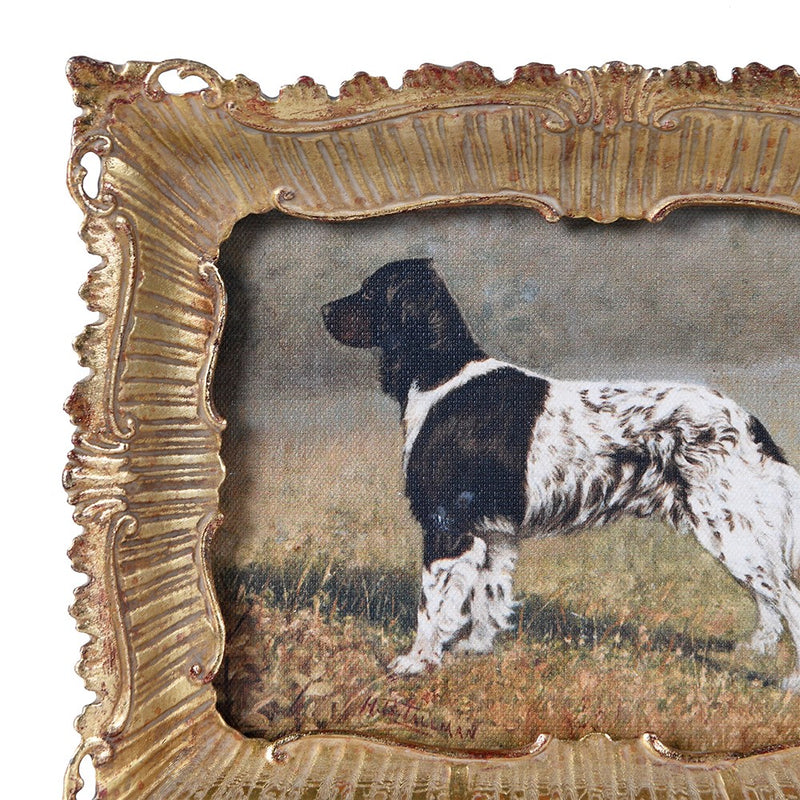 Spaniel Picture In Ornate Gold Frame