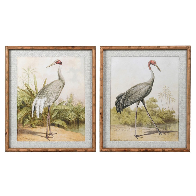 S/2 Stork Pictures