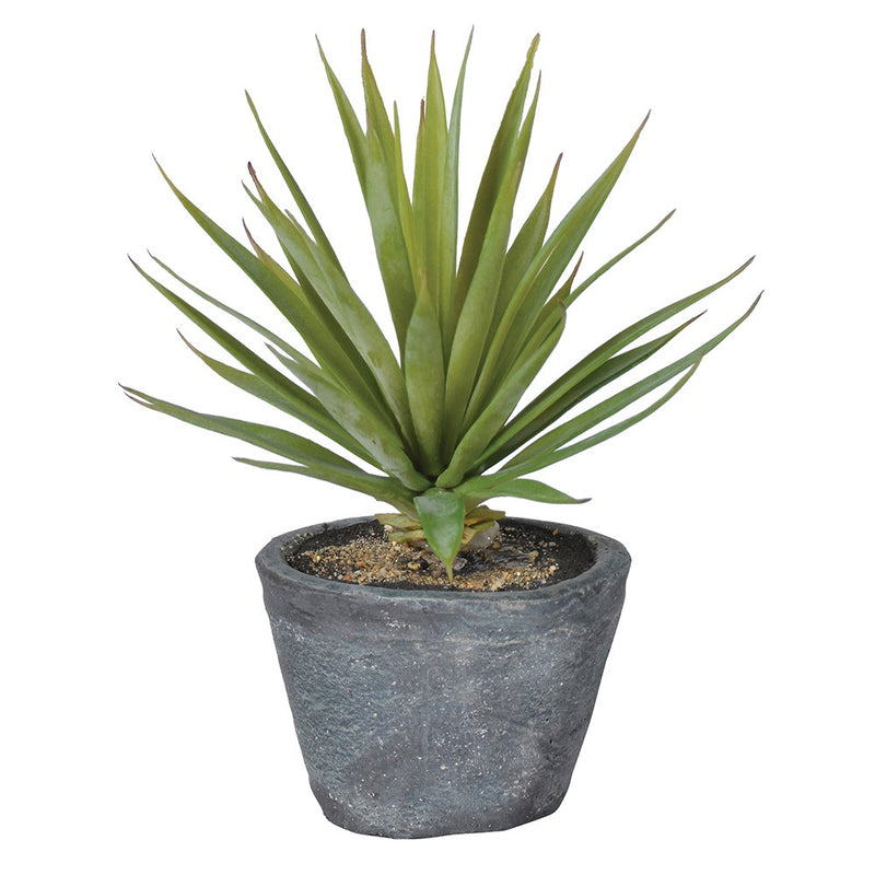 Green Faux Airplant in Grey pot