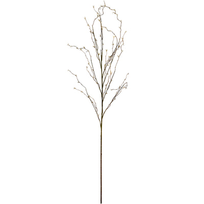 White Willow Stem