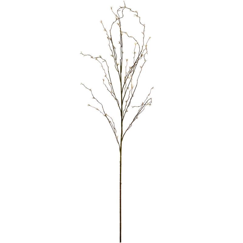 White Willow Stem