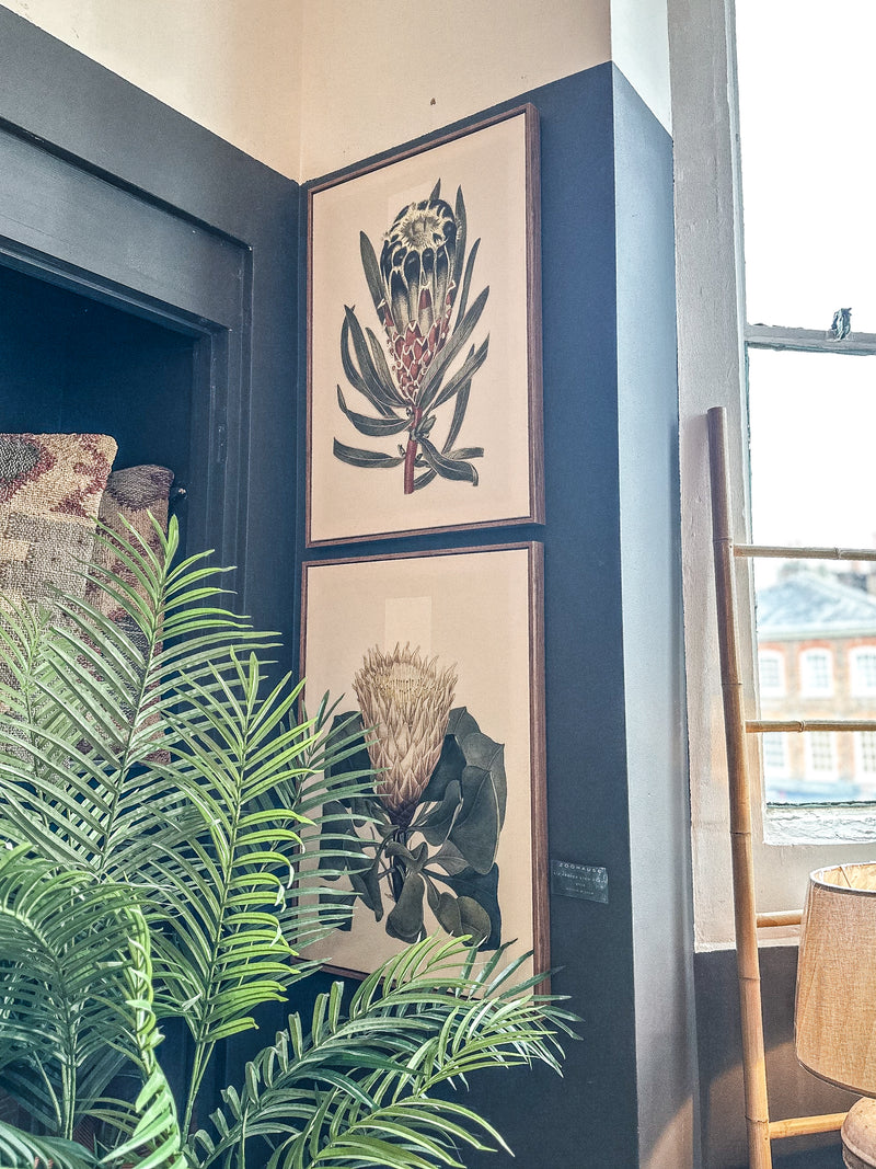 Set of 2 Protea Stem Frames