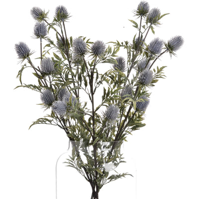 Eryngium Blue Thistle Spray