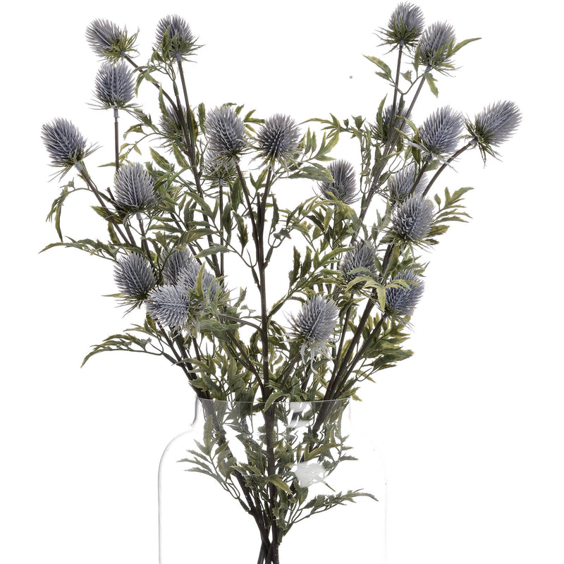 Eryngium Blue Thistle Spray