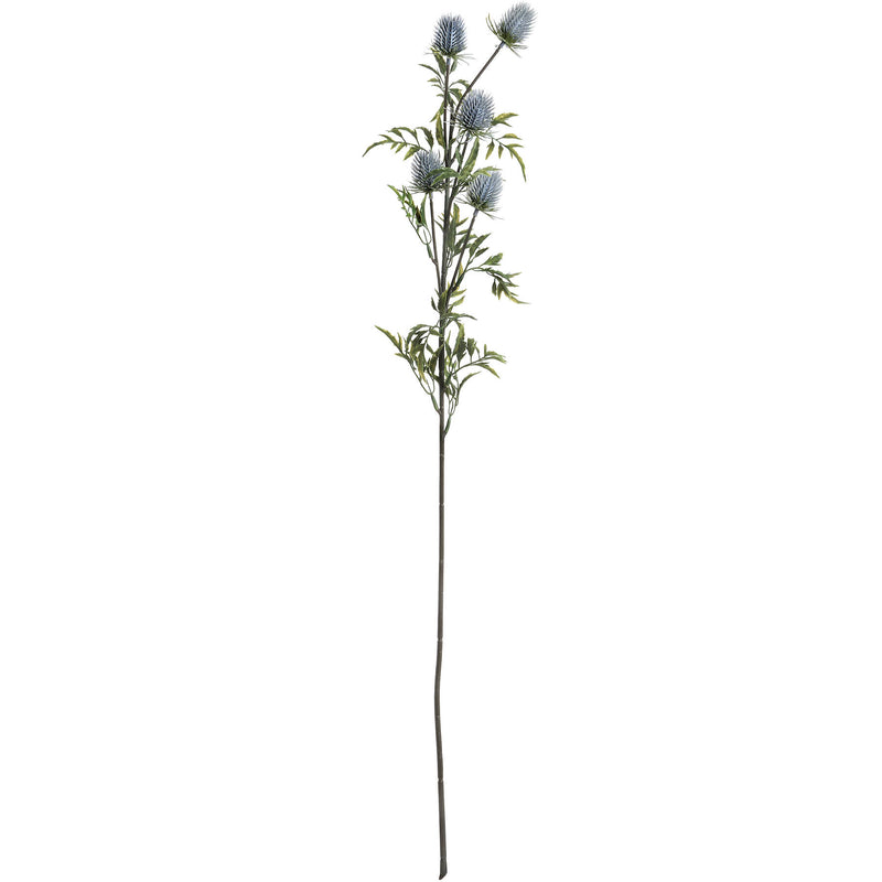 Eryngium Blue Thistle Spray