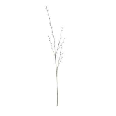 Pussy Willow Branch