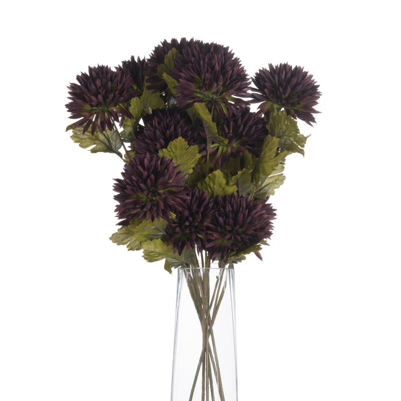 Chocolate Chrysanthemum Stem