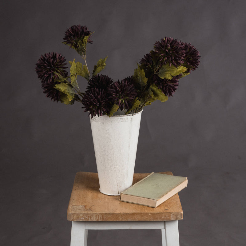 Chocolate Chrysanthemum Stem