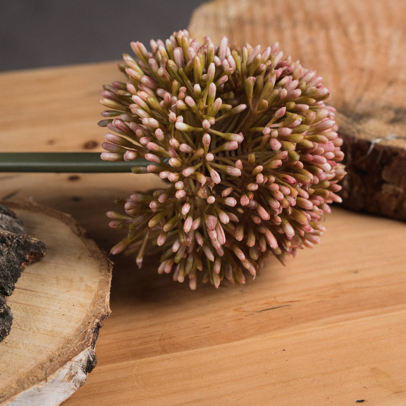 Pink Allium Stem