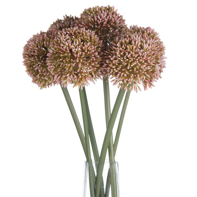 Pink Allium Stem