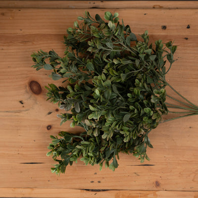 Crimson Tipped Leaf Spray