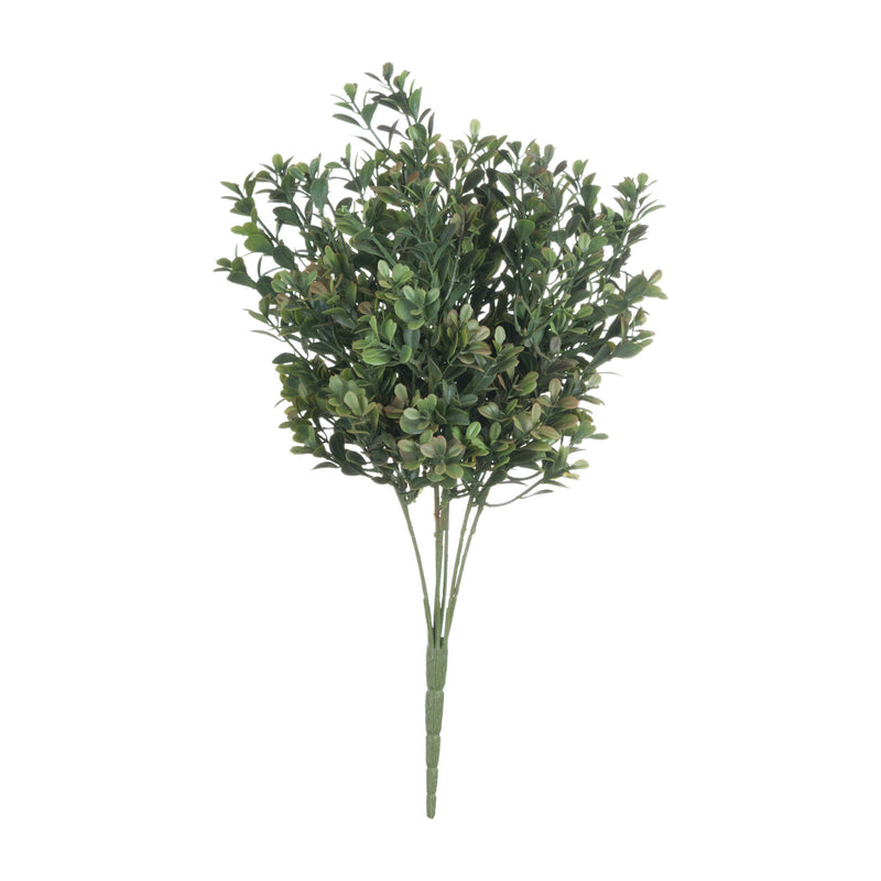 Crimson Tipped Leaf Spray