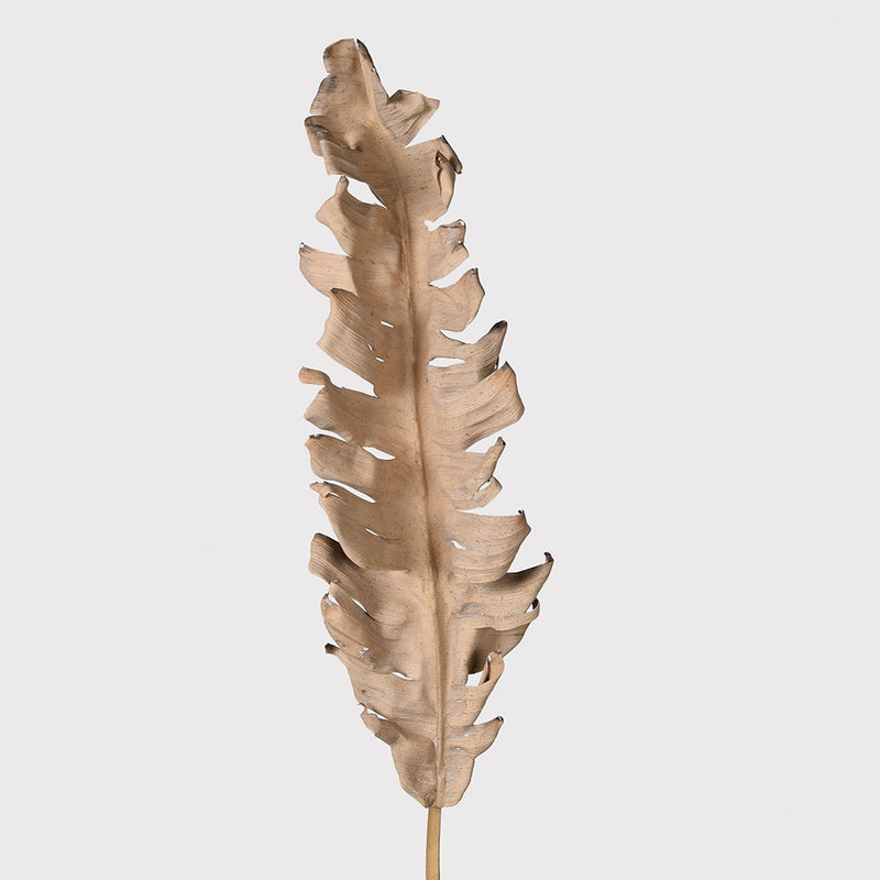 Dried Banana Leaf Stem