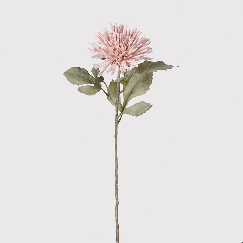 Pink Dahlia Spray