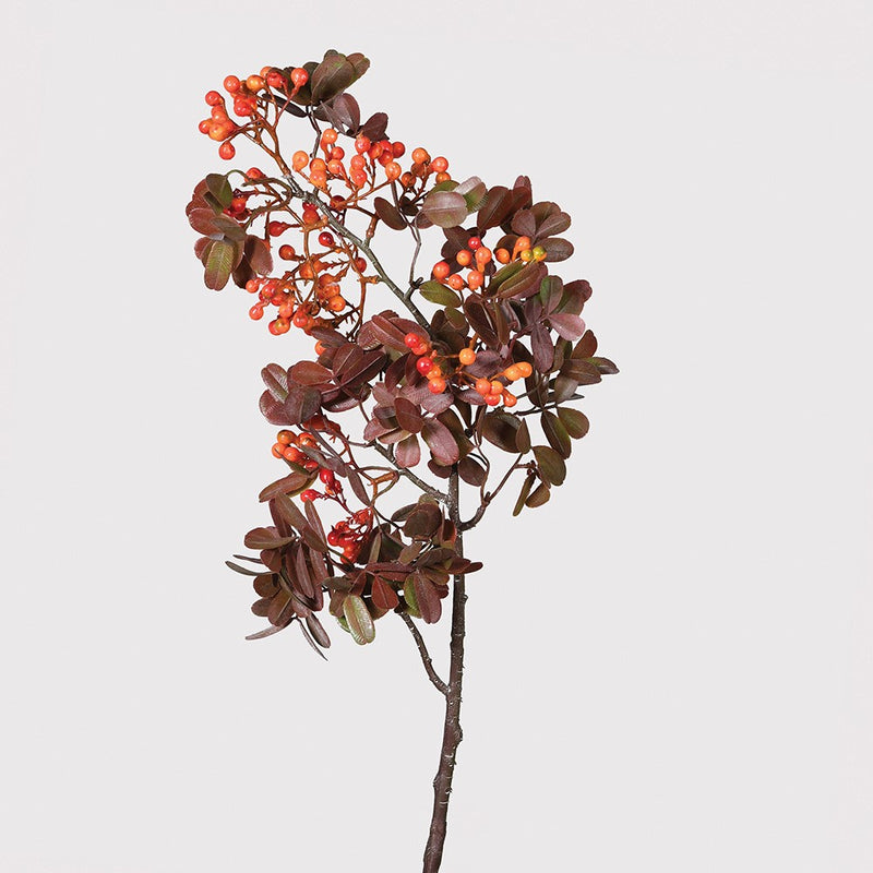 Orange Rowan Spray