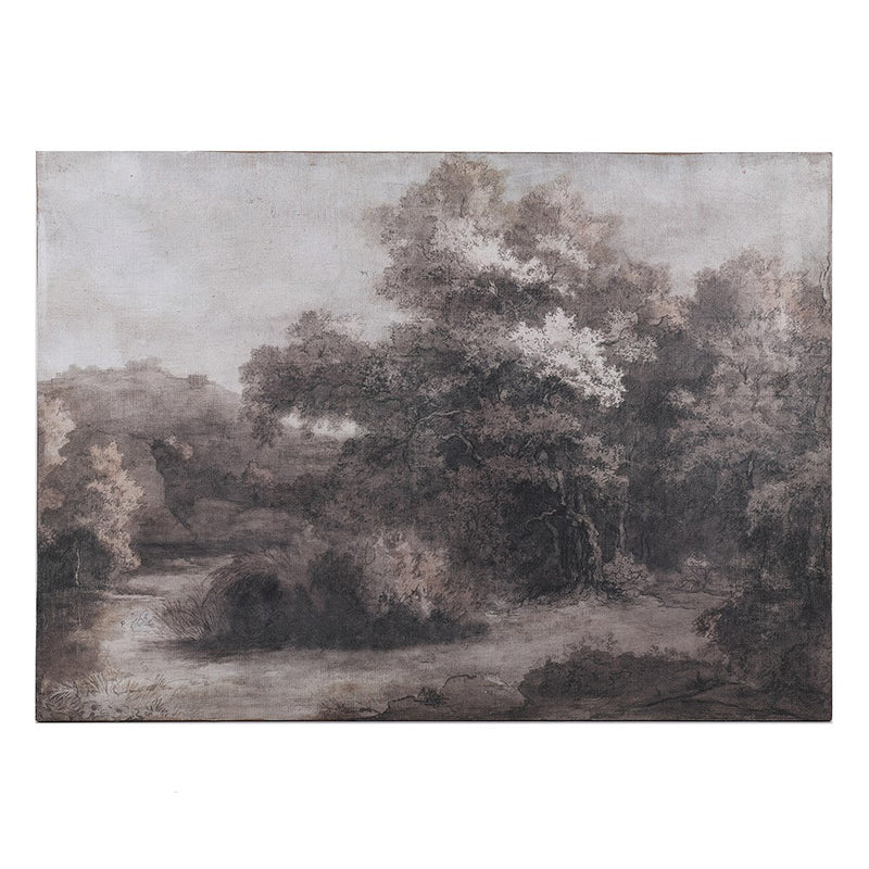 Black & White Woodland Landscape Picture