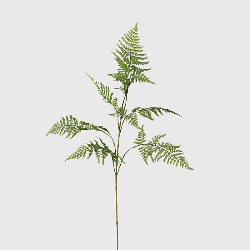 Green Asparagus Fern Spray
