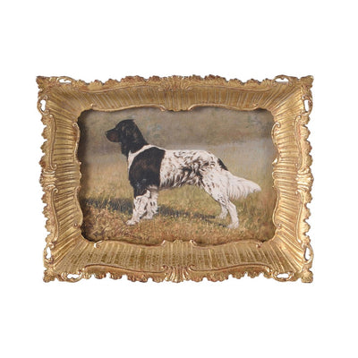 Spaniel Picture In Ornate Gold Frame