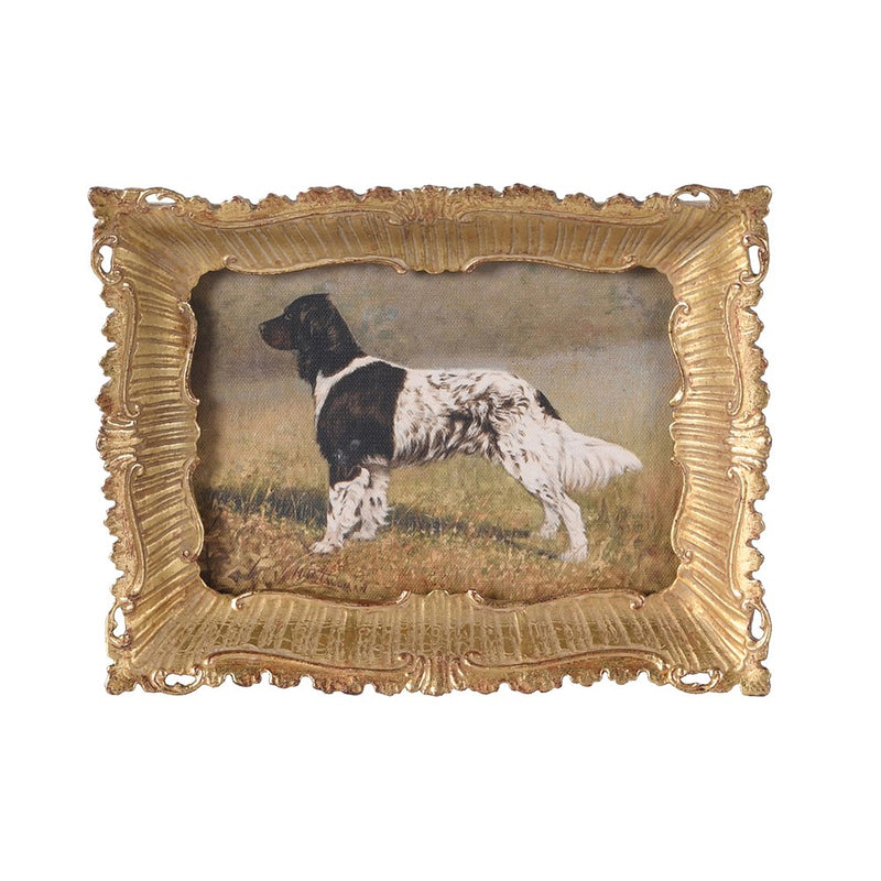 Spaniel Picture In Ornate Gold Frame