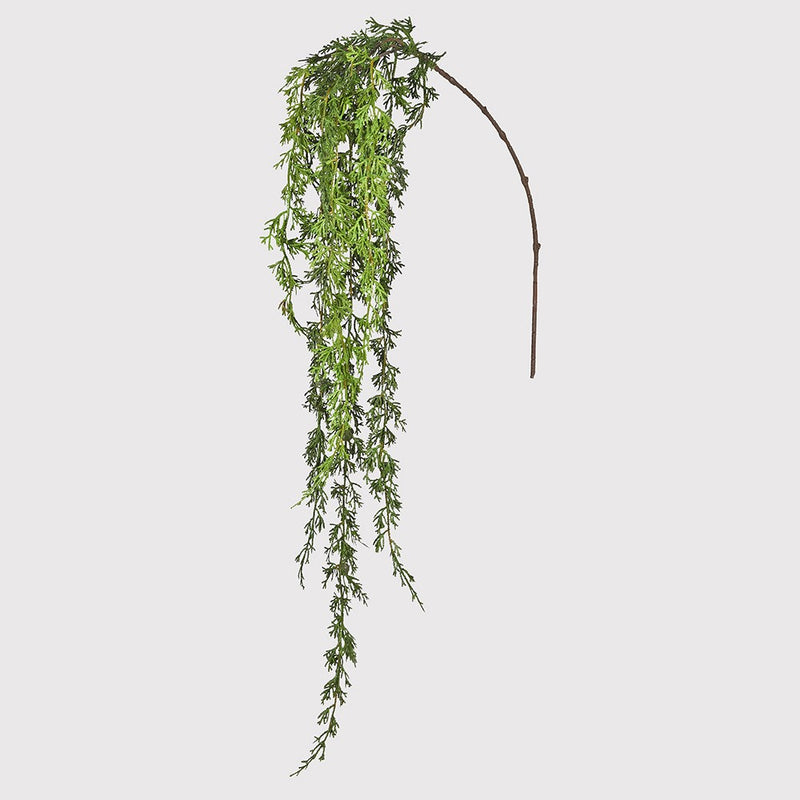 Cedar Hanging Stem