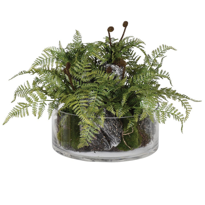 Green Fern Plant In Glass Pot