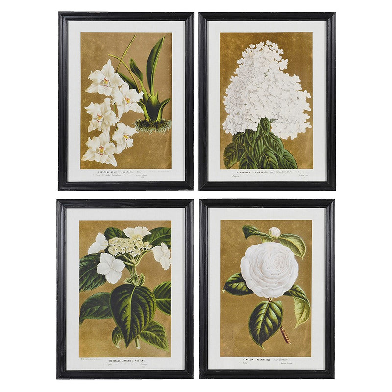 Set of 4 White Flowers Wall Art