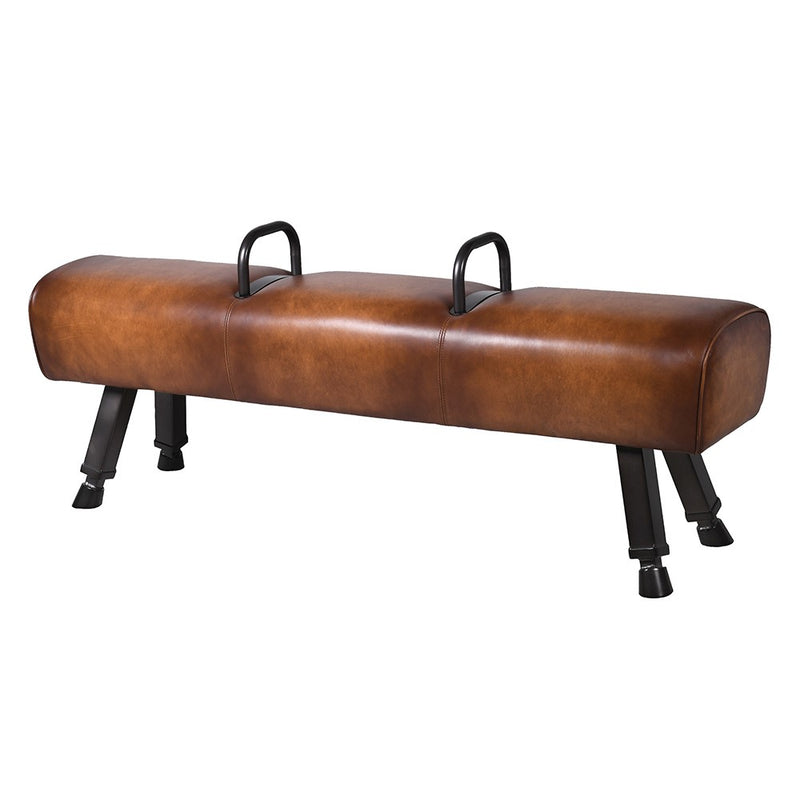 Brown Leather Pommel Horse