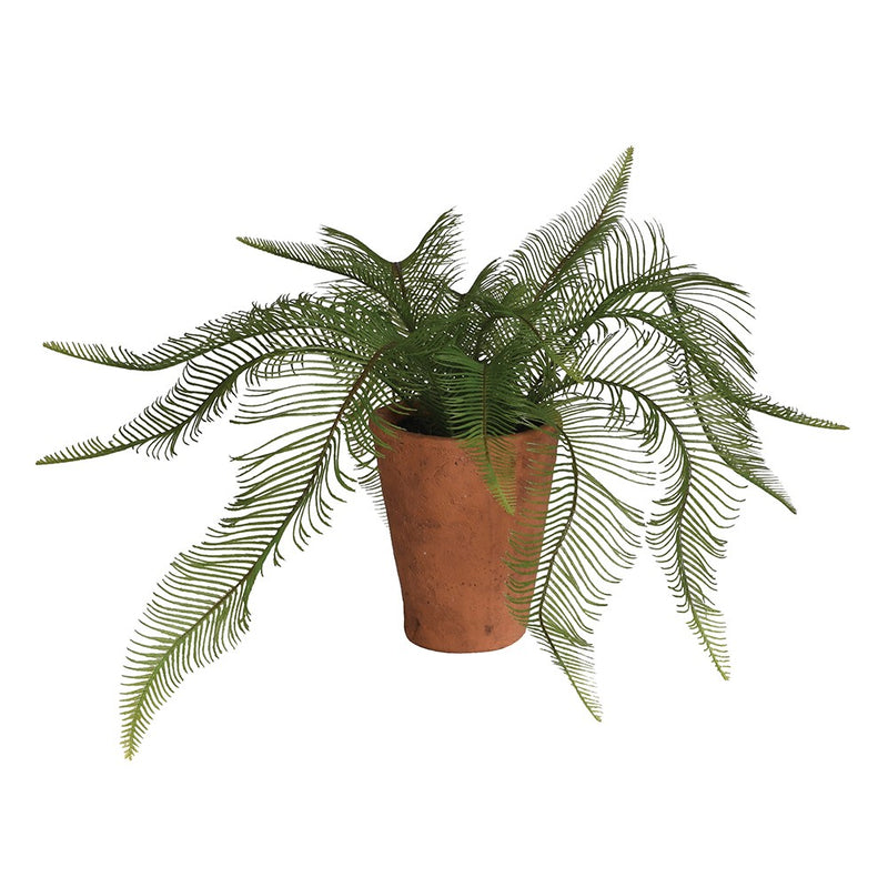 Faux Fern Plant In Terracotta Pot