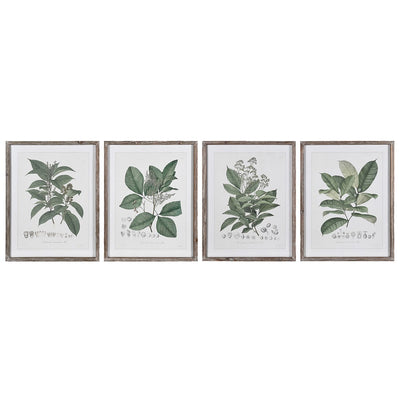 Set Of 4 Herbs Wall Art