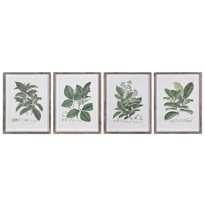 Set Of 4 Herbs Wall Art