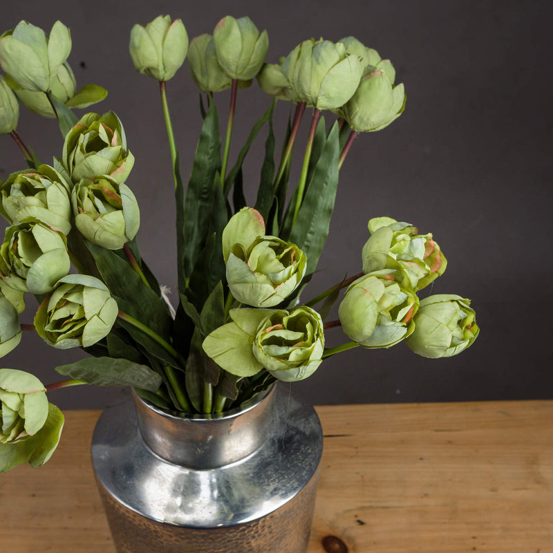 Green Tulip Stem