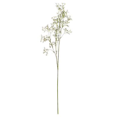 White Wildflower Stem