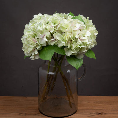 Shabby Green Hydrangea