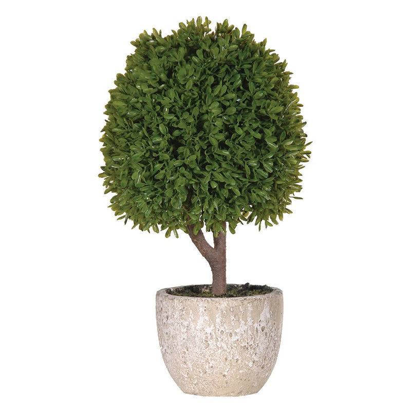 Mini Boxwood Ball in Stone Pot