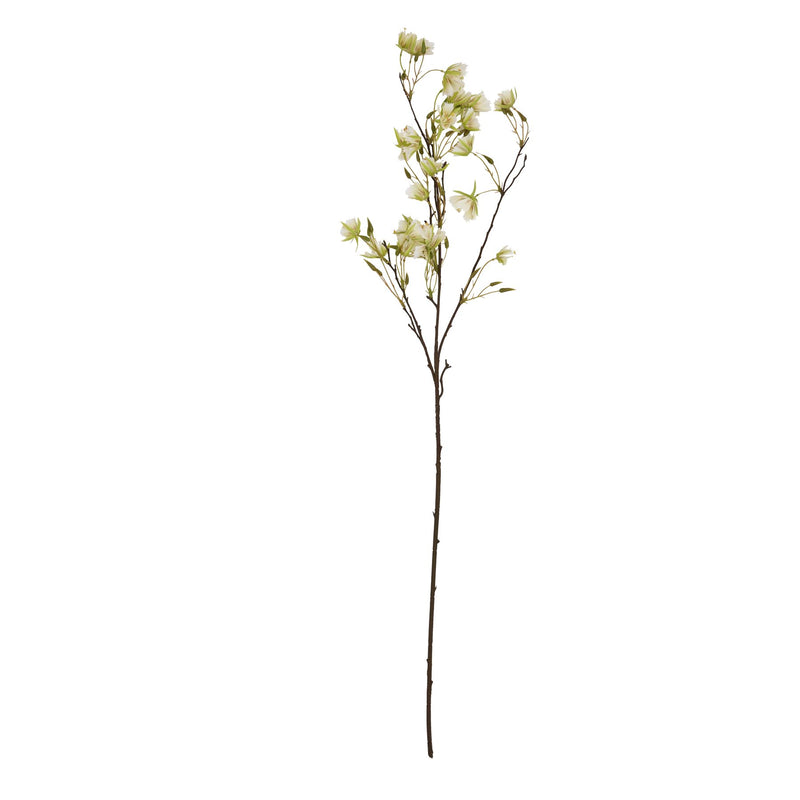 Cream Elaeocarpus Spray
