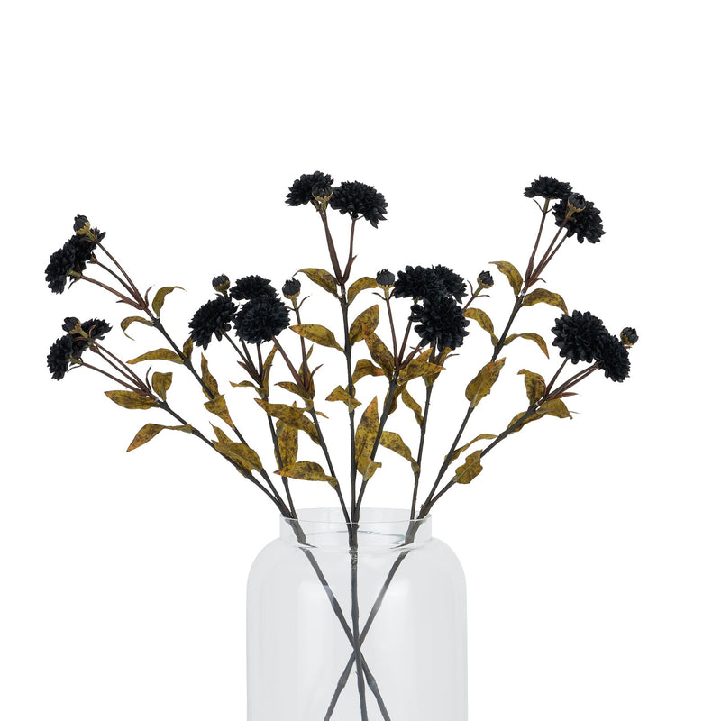 Black Chrysanthemum Spray