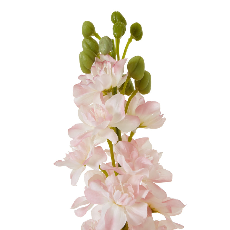 Pink Delphinium Spray